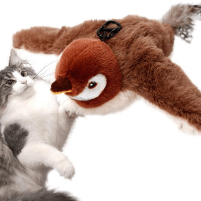 Happy Kitty™ Dream Bundle