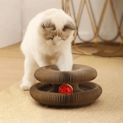 Happy Kitty™ Dream Bundle