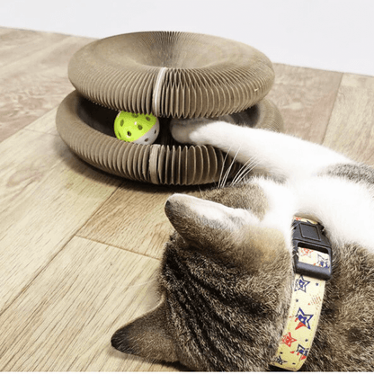 Happy Kitty™ Purrfect Scratching Board